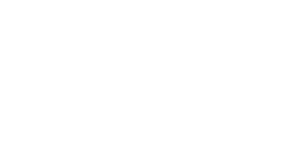 Illinois Aviation Logo